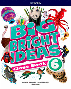 BIG BRIGHT IDEAS 6. CLASS BOOK