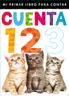 CUENTA 1 2 3