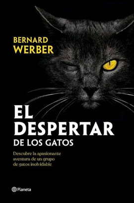 EL DESPERTAR DE LOS GATOS