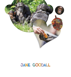 PROYECTO LO VES? : JANE GOODALL