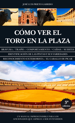 CMO VER EL TORO EN LA PLAZA