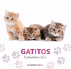 CALENDARIO GATITOS 2014