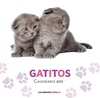 CALENDARIO GATITOS 2015