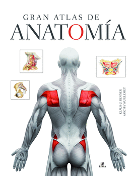 GRAN ATLAS DE ANATOM�A