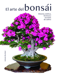 EL ARTE DEL BONSI