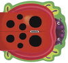 MARIQUITA