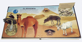 FAUNA