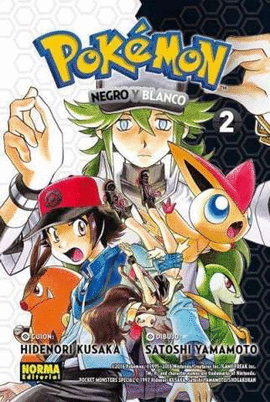 POKEMON NEGRO Y BLANCO 2 (27)