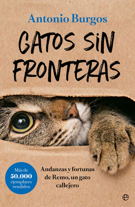 GATOS SIN FRONTERAS (RSTICA)
