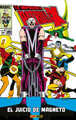 JUICIO MAGNETO