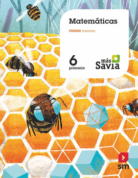 MATEMTICAS. 6 PRIMARIA. MS SAVIA