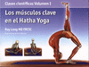 LOS M�SCULOS CLAVE EN EL HATHA YOGA