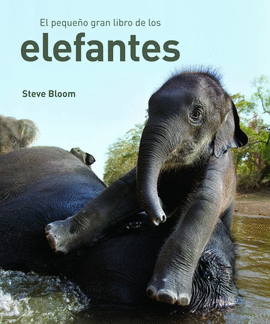 PEQUE�O GRAN LIBRO ELEFANTES