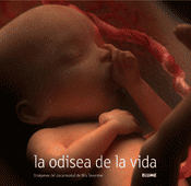 ODISEA DE LA VIDA