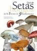 GUA DE SETAS Y HONGOS DE LA SIERRA DE GUADARRAMA