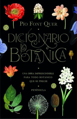 DICCIONARIO DE BOT�NICA